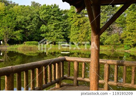 秋色開始變化,從涼亭看,大池湖,城山公園,桶川市 秋色開始變化,從涼亭看,大池湖,城山公園,桶川市 119193209