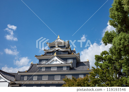 Okayama castle castle tower Okayama castle castle tower 119193546