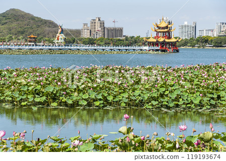 View of the lotus in bloom at the Lotus Pond(Lianchihtan) in Kaohsiung, Taiwan. it is an artificial lake and a popular tourist destination. View of the lotus in bloom at the Lotus Pond(Lianchihtan) in Kaohsiung, Taiwan. it is an artificial lake and a popular tourist destination. 119193674