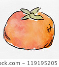 水彩時尚手繪柿子插畫，為秋天著色 119195205