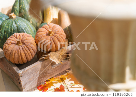 萬聖節活動圖片 萬聖節活動圖片 119195265