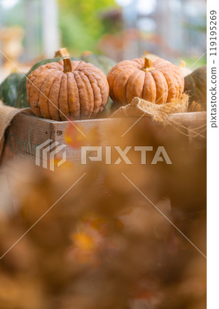 Halloween event image 119195269