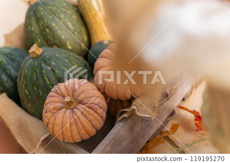 Halloween event image 119195270