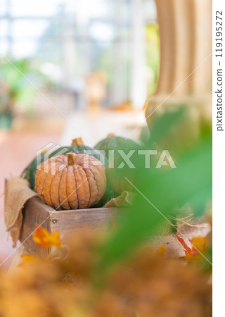 萬聖節活動圖片 119195272