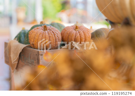 萬聖節活動圖片 萬聖節活動圖片 119195274