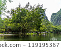 nature, natural, naturally 119195367