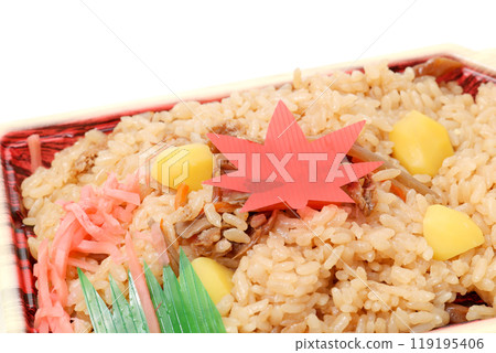 Rice, cooked rice, rice in a pot, Japanese food, side dish, food, plastic container, bento, Japanese food, rice, Japanese food, rice 119195406