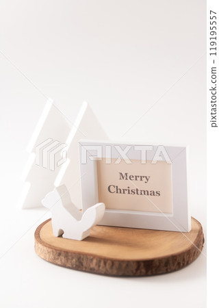 Cute Animal White Christmas 119195557