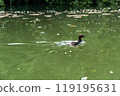 nature, natural, naturally 119195631