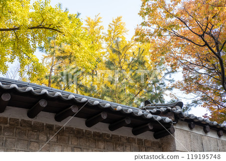 Deoksugung Stonewall Walkway with beautiful autumn foliage. It is the pedestrian footpath that runs next to Deoksugung Palace in Seoul, South Korea Deoksugung Stonewall Walkway with beautiful autumn foliage. It is the pedestrian footpath that runs next to Deoksugung Palace in Seoul, South Korea 119195748