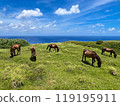 Yonaguni horses at Higashizaki Ranch on Yonaguni Island 119195911