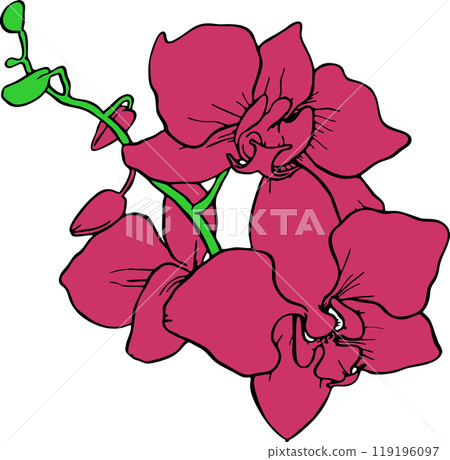 drawing of a branch of purple flowers with a black outline on a white background, logo, art drawing of a branch of purple flowers with a black outline on a white background, logo, art 119196097
