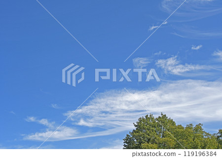 Cirrus Cirrus 119196384