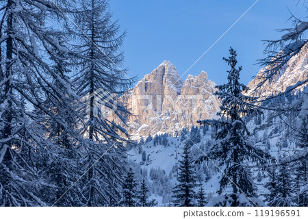 nowy trees and sunlit Dolomite peaks in winter view nowy trees and sunlit Dolomite peaks in winter view 119196591