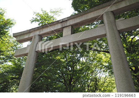 大國魂神社大鳥居[東京都府中市] 119196663
