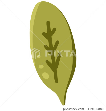 Leaf simple illustration 119196880