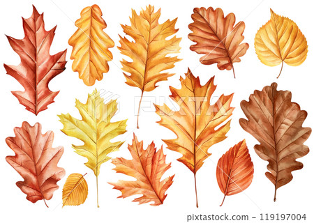 Autumn leaves watercolor set oak, birch isolated. Vibrant fall foliage in shades yellow, red, orange and brown, clipart  119197004