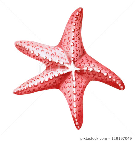 Hand drawn starfish. Isolated watercolor realistic sea creature illustration for fish restaurant design, menu, textile, posters Hand drawn starfish. Isolated watercolor realistic sea creature illustration for fish restaurant design, menu, textile, posters 119197049