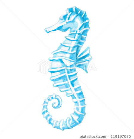 Seahorse hand drawn. Isolated watercolor realistic illustration of sea creature for fish restaurant design, menu, textile, posters Seahorse hand drawn. Isolated watercolor realistic illustration of sea creature for fish restaurant design, menu, textile, posters 119197050