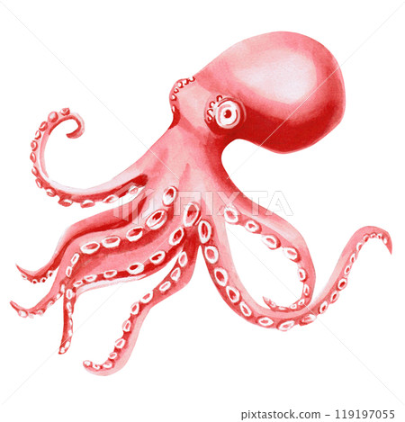 Octopus painted in watercolor. Isolated illustration of sea animal in realistic style for restaurant design, menu, textile, posters, tableware, holiday decoration Octopus painted in watercolor. Isolated illustration of sea animal in realistic style for restaurant design, menu, textile, posters, tableware, holiday decoration 119197055