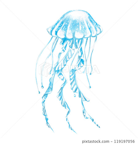 Jellyfish painted in watercolor. Isolated illustration of sea animal in realistic style for restaurant design, menu, textile, posters, tableware, holiday decoration Jellyfish painted in watercolor. Isolated illustration of sea animal in realistic style for restaurant design, menu, textile, posters, tableware, holiday decoration 119197056