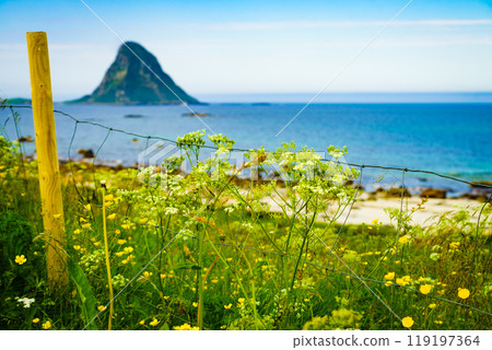 Sea coast sandy beach in resort Bleik Andoya Norway 119197364