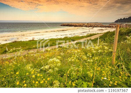 Sea coast sandy beach in resort Bleik Andoya Norway 119197367
