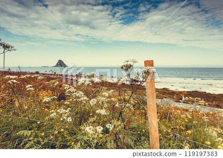 Sea coast sandy beach in resort Bleik Andoya Norway Sea coast sandy beach in resort Bleik Andoya Norway 119197383