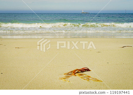 Seascape sandy beach with lighthouse on horizon 119197441