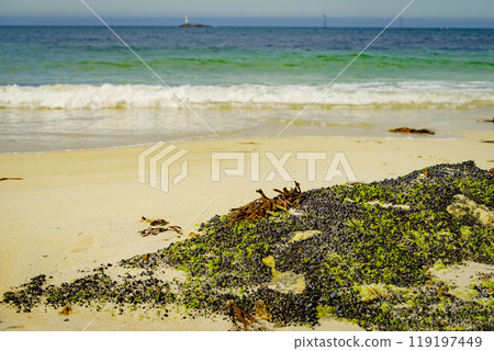 Sandy beach with shells covering stone rocks Sandy beach with shells covering stone rocks 119197449