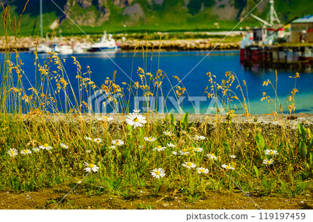Fishing port in Bleik village, Andoya island 119197459
