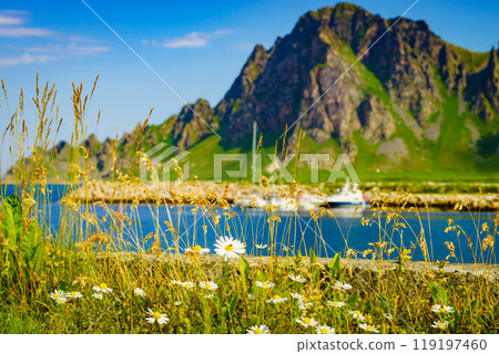 Fishing port in Bleik village, Andoya island 119197460