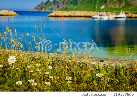 Fishing port in Bleik village, Andoya island Fishing port in Bleik village, Andoya island 119197609