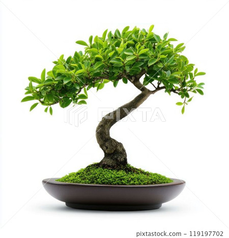 Beautiful Bonsai Tree on White Background. Generative ai Beautiful Bonsai Tree on White Background. Generative ai 119197702
