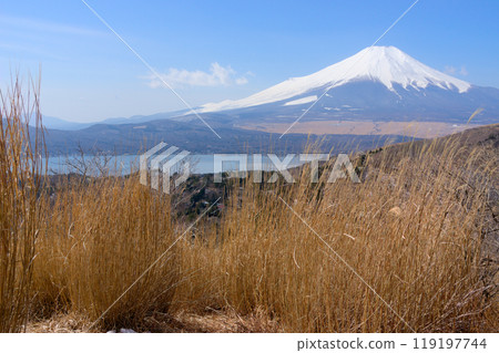 Mt. Fuji and Lake Yamanaka as seen from Mt. Hirao 119197744