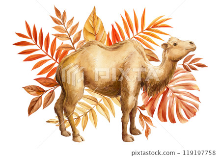 Autumn safari animals collection watercolor. Zebra, alpaca, camel and elephant in watercolor with vibrant fall leaves Autumn safari animals collection watercolor. Zebra, alpaca, camel and elephant in watercolor with vibrant fall leaves 119197758