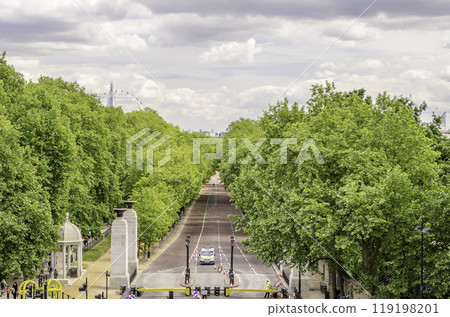 View over Green Park and Buckingham Palace Gardens, London, UK 119198201