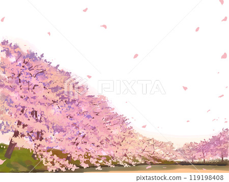 Row of cherry trees 119198408