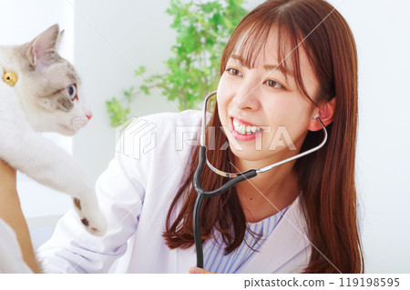 Female veterinarian examining a cat 119198595