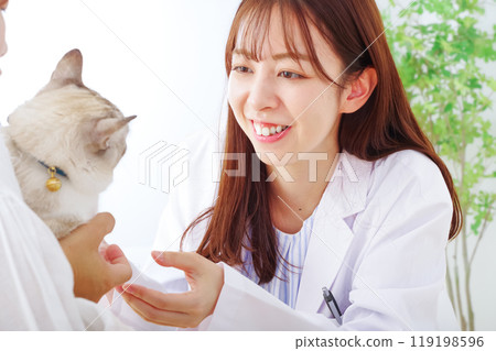女獸醫檢查一隻貓 119198596