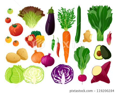 Vector illustration set of various vegetables 119200284