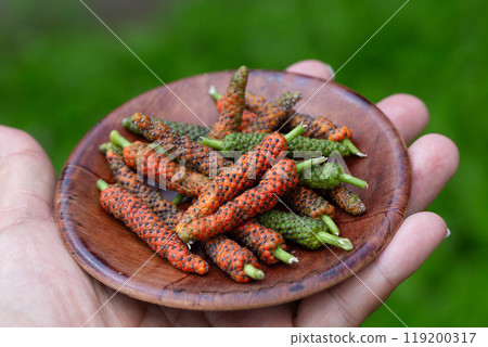 Hi hats Hi hats 119200317