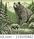 熊熊森林森林草原自然野生野生動物插畫 119200882