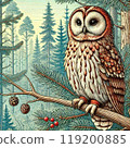 貓頭鷹森林森林生物鳥鳥類自然夜間圖 119200885