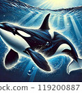 虎鯨海海水哺乳動物魚生物海洋插圖掠食者 119200887