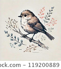 小鳥插畫動物手繪麻雀麻雀樹枝 119200889