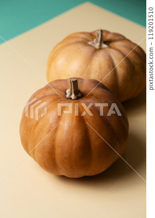 Two pumpkins sit on beige paper 119201510