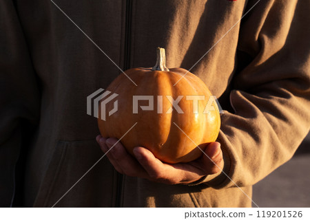 A man is holding an orange little pumpkin in the sunlight A man is holding an orange little pumpkin in the sunlight 119201526