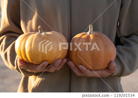 A person is holding two orange pumpkins in their hands A person is holding two orange pumpkins in their hands 119201534
