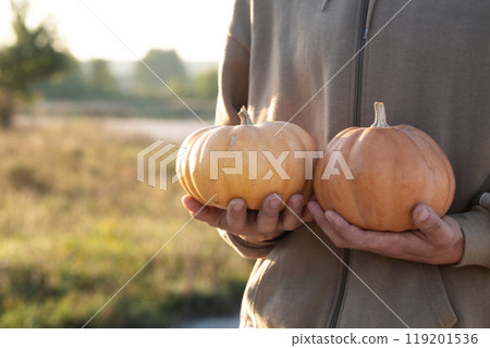 A person is holding two orange pumpkins in their hands 119201536